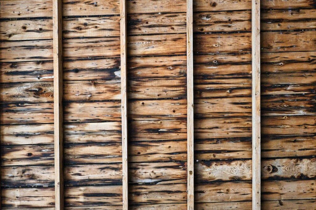 Attic rafters and plywood roof decking show dark water stains and softened wood beneath a leaking roof.