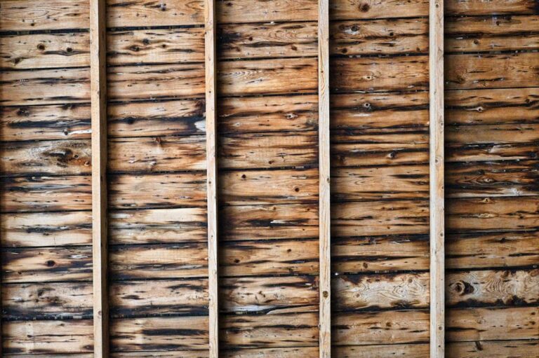 Attic rafters and plywood roof decking show dark water stains and softened wood beneath a leaking roof.